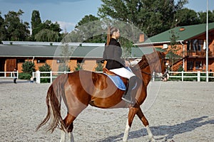 Rider elegant woman riding her horse outside