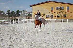 Rider elegant woman riding her horse outside