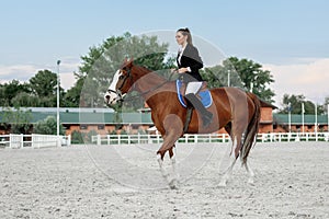 Rider elegant woman riding her horse outside