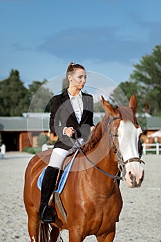 Rider elegant woman riding her horse outside