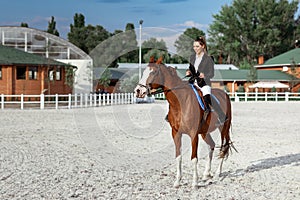 Rider elegant woman riding her horse outside