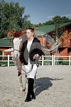 Rider elegant woman riding her horse outside