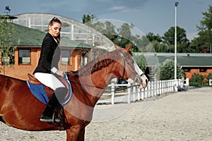 Rider elegant woman riding her horse outside