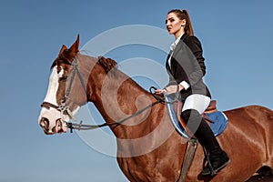 Rider elegant woman riding her horse outside