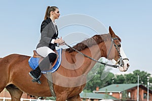 Rider elegant woman riding her horse outside