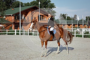 Rider elegant woman riding her horse outside