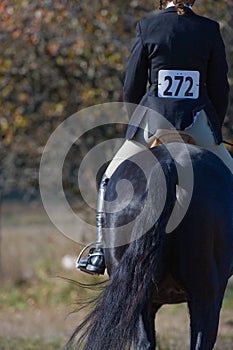 Rider in equestrian event