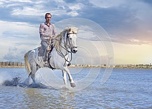 rider and horse on the beach