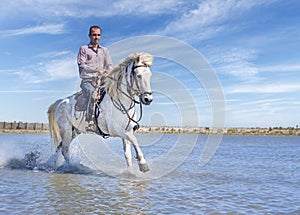 rider and horse on the beach