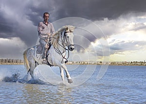 rider and horse on the beach