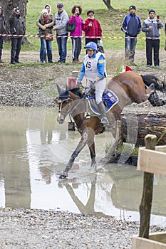 Rider and horse