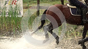 Rider with horse crossing water