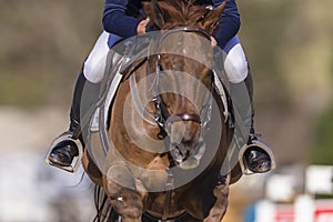 Rider Horse Jumping Abstract Action