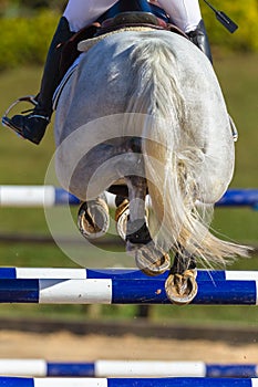 Rider Horse Jumping Closeup Rear Hoofs photo