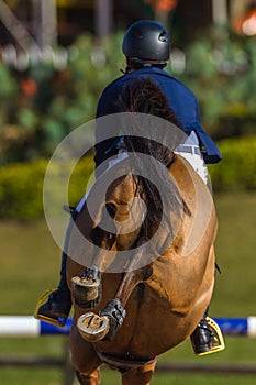 Rider Horse Jumping Closeup Rear Hoofs photo