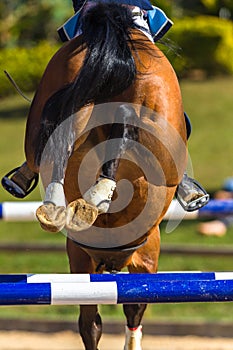 Rider Horse Jumping Closeup Rear Hoofs photo