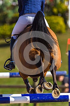 Rider Horse Jumping Closeup Rear Hoofs photo