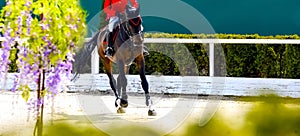 Rider and horse in jumping show