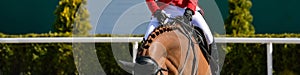 Rider and horse in jumping show