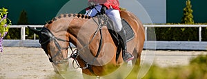 Rider and horse in jumping show