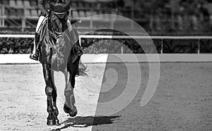 Rider and horse in jumping show, black and white