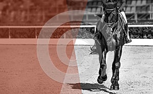 Rider and horse in jumping show, black and white