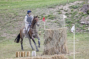 Rider and horse