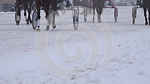 Rider on horse race, trotting on hippodrome cold winter day. 4K