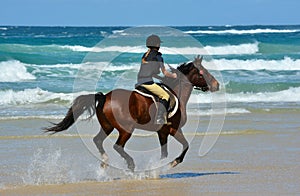 Rider horseback riding on beach