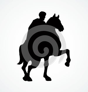 Rider on horseback. Vector drawing