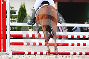 Rider jump to clear the obstacle. Horse Jumping, Equestrian Sports, Show Jumping. Chestnut horse on course. Macro