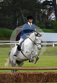 Rider jumping with horse