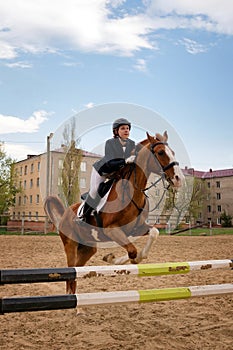 Rider jumping horse over obstacle, equestrian sport
