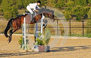 Rider in the jumping show