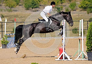 Rider in the jumping show