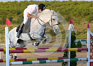 Rider in jumping show