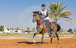 Rider participating in an endurance race.