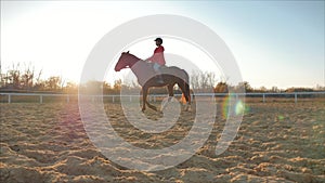 Rider rides his horse at sunset. Woman rider learns to ride a horse in the evening on a blue sky background . Animal