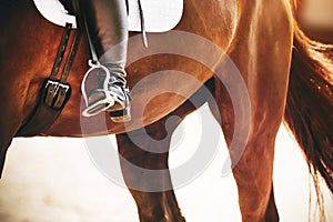 The rider`s foot is in a boot in a metal stirrup, which is worn as a sports ammunition on a horse, the tail of which is photo