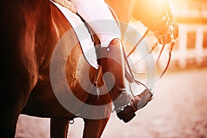 A rider's foot, sitting in the saddle on a bay horse, is illuminated in the stirrup by the sunlight. Equestrian sports.