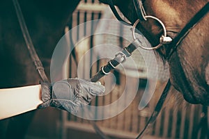 Rider\'s Hand Holding the Horse\'s Reins photo