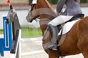 Rider in showjumping