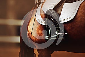 The rider is sitting in the saddle on a bay horse. Horse ammunition. Horse riding. Equestrian sports