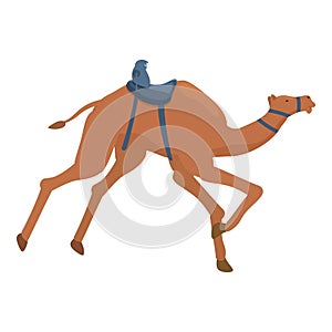 Rider on sport camel icon cartoon vector. Speed farming