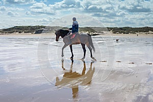 rider with their horses on the beach