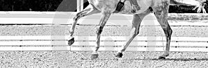 Rider in uniform, equestrian sports