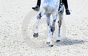 Rider in uniform, equestrian sports