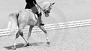 Rider in uniform, equestrian sports