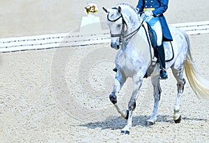 Rider in uniform, equestrian sports