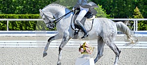Rider in uniform, equestrian sports
